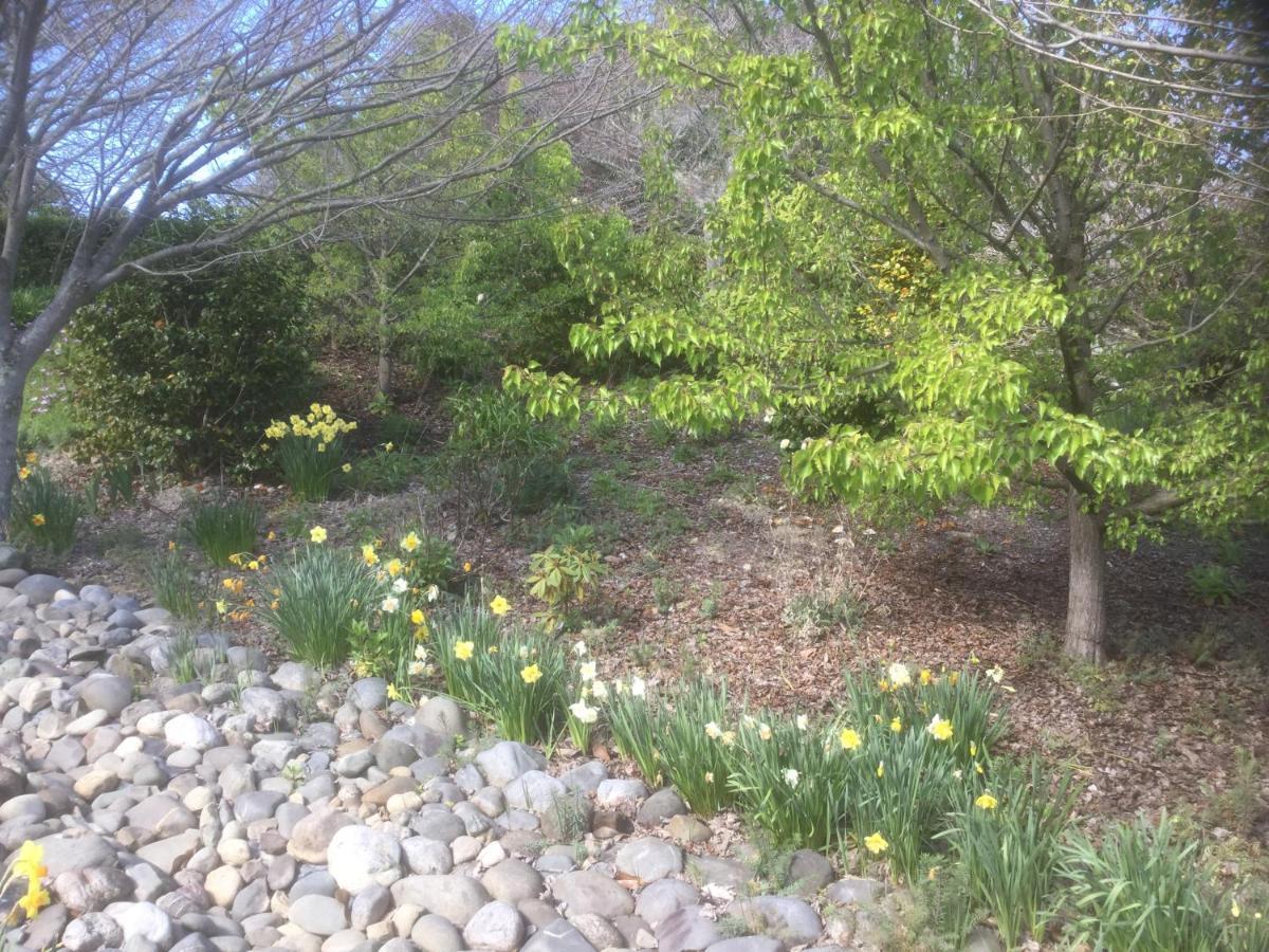 Mapua Garden B & B 외부 사진