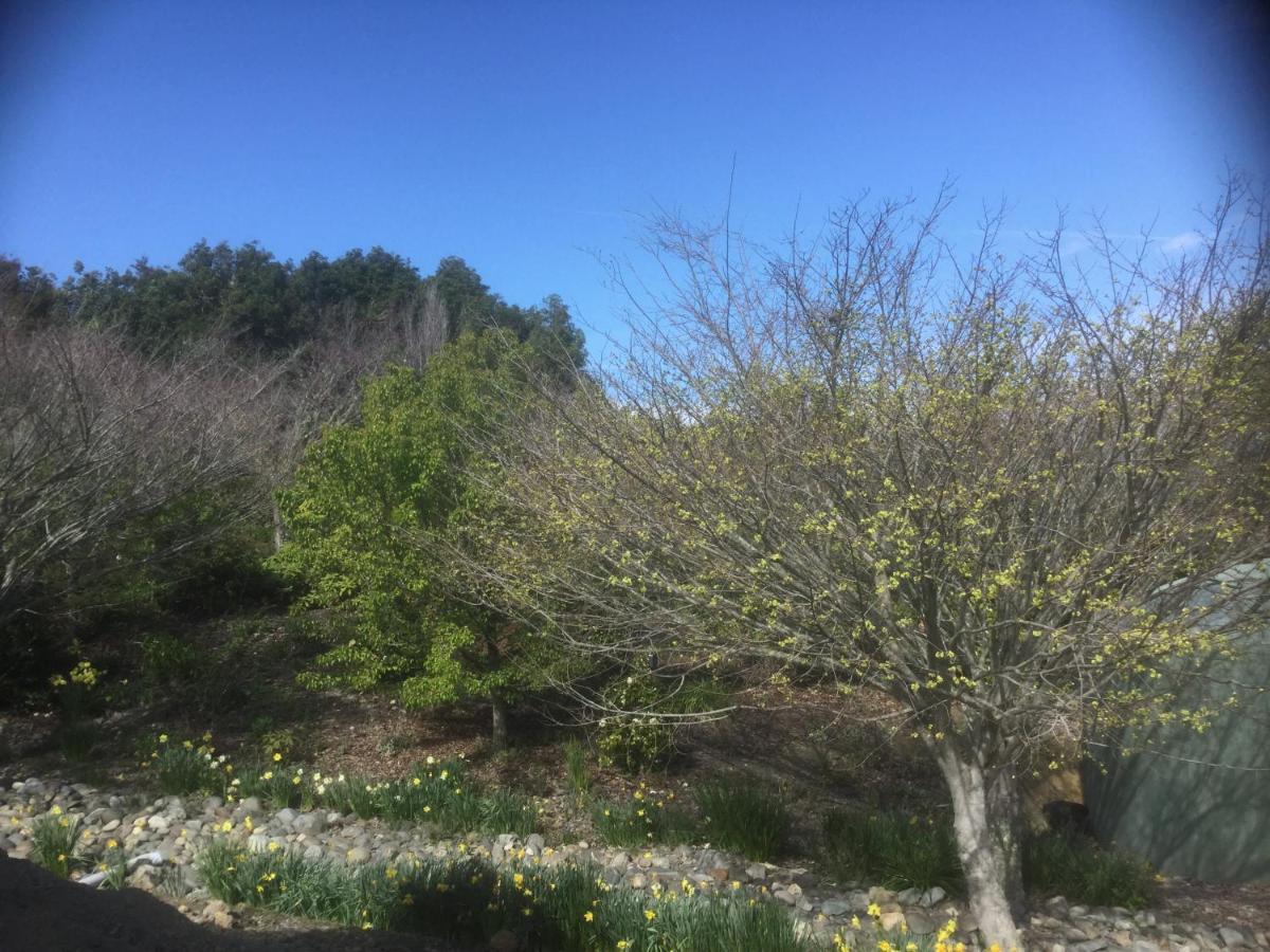Mapua Garden B & B 외부 사진